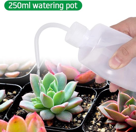 Miniatuur Tuin Tools Set voor Succulenten en Binnenplanten — afbeelding 2