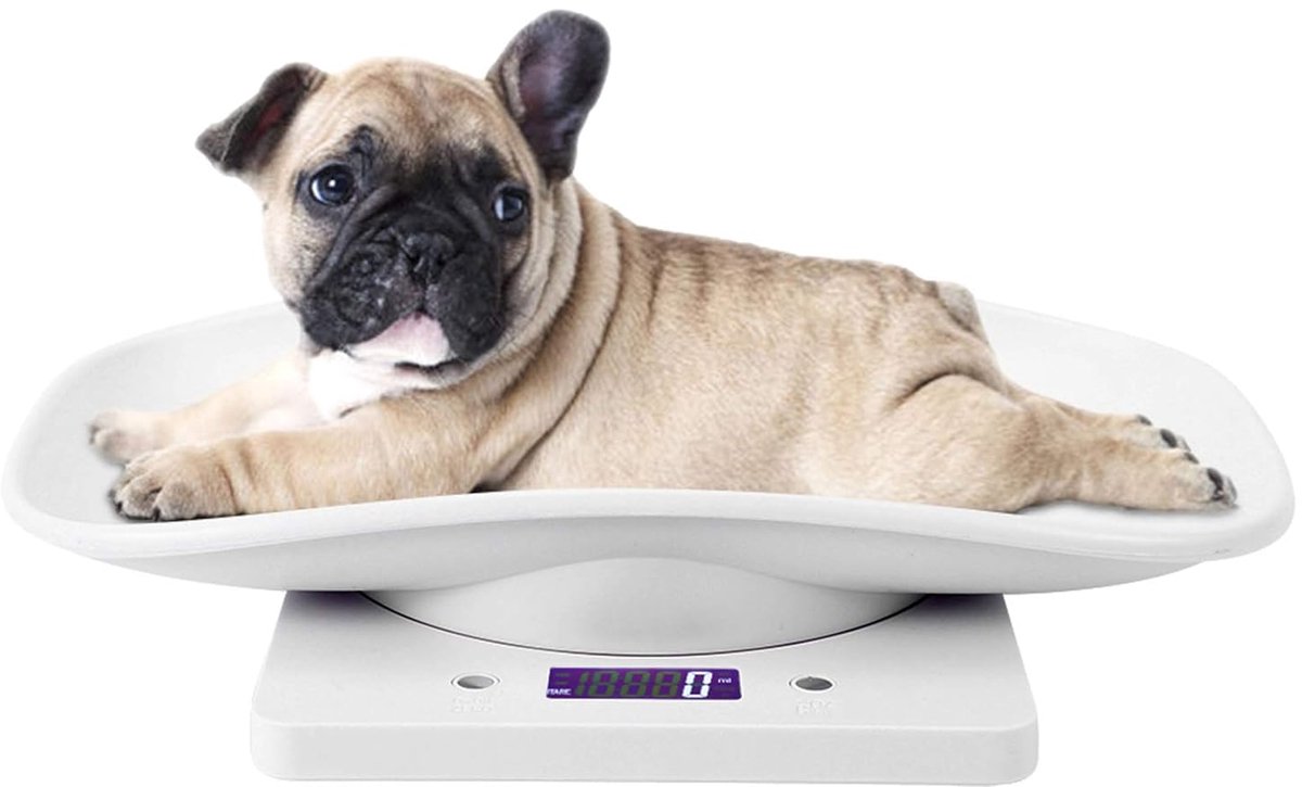 Digitale Personenweegschaal 10 kg met 1g Precisie - LCD Display en 4 Weegmodi (g/ml/lb/oz)