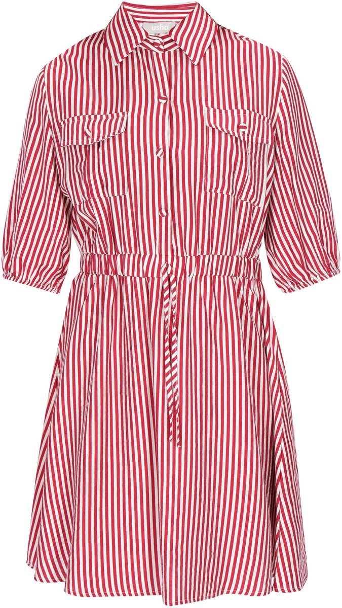 usha Dress