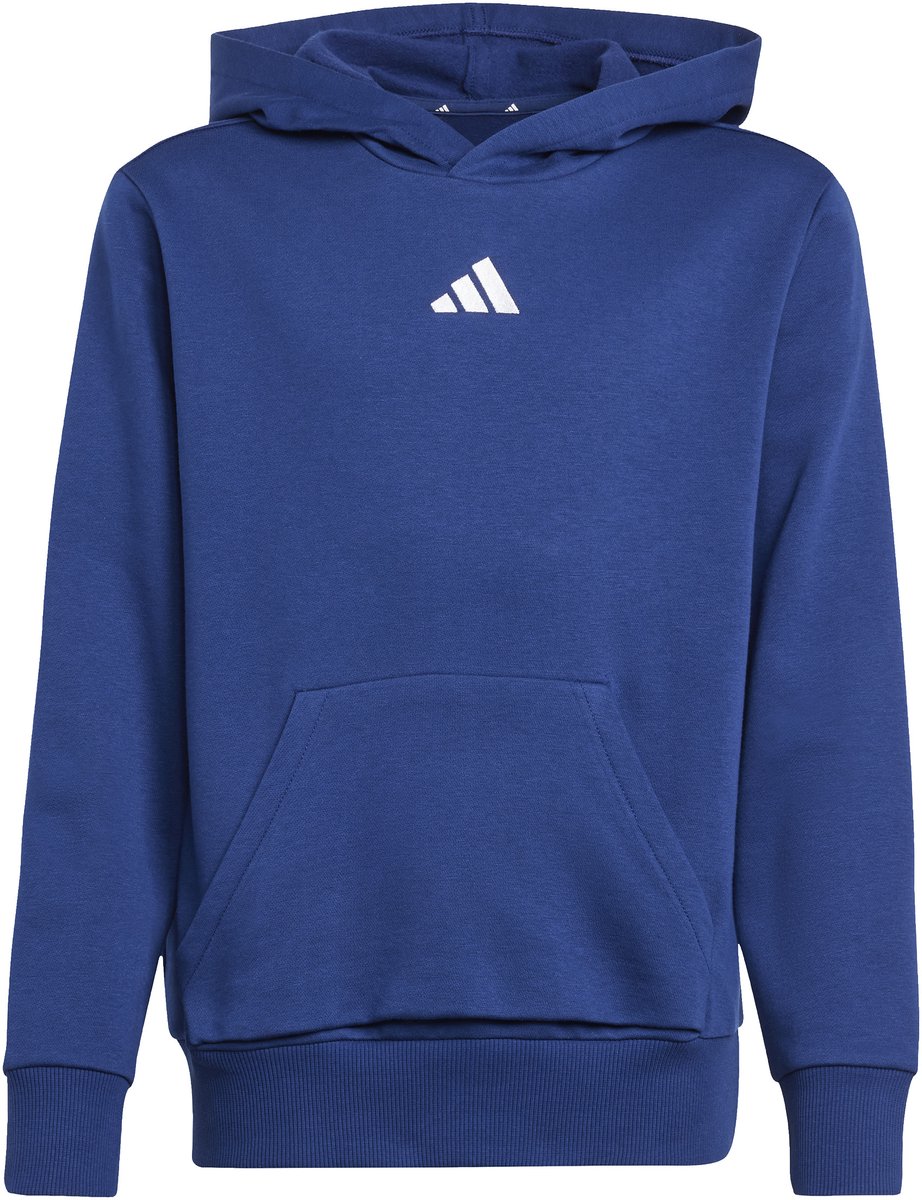 Junior Hoodie adidas Essentials Blauw