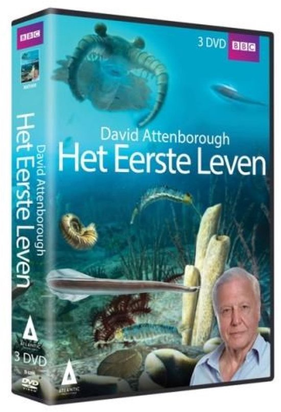 Eerste Leven
