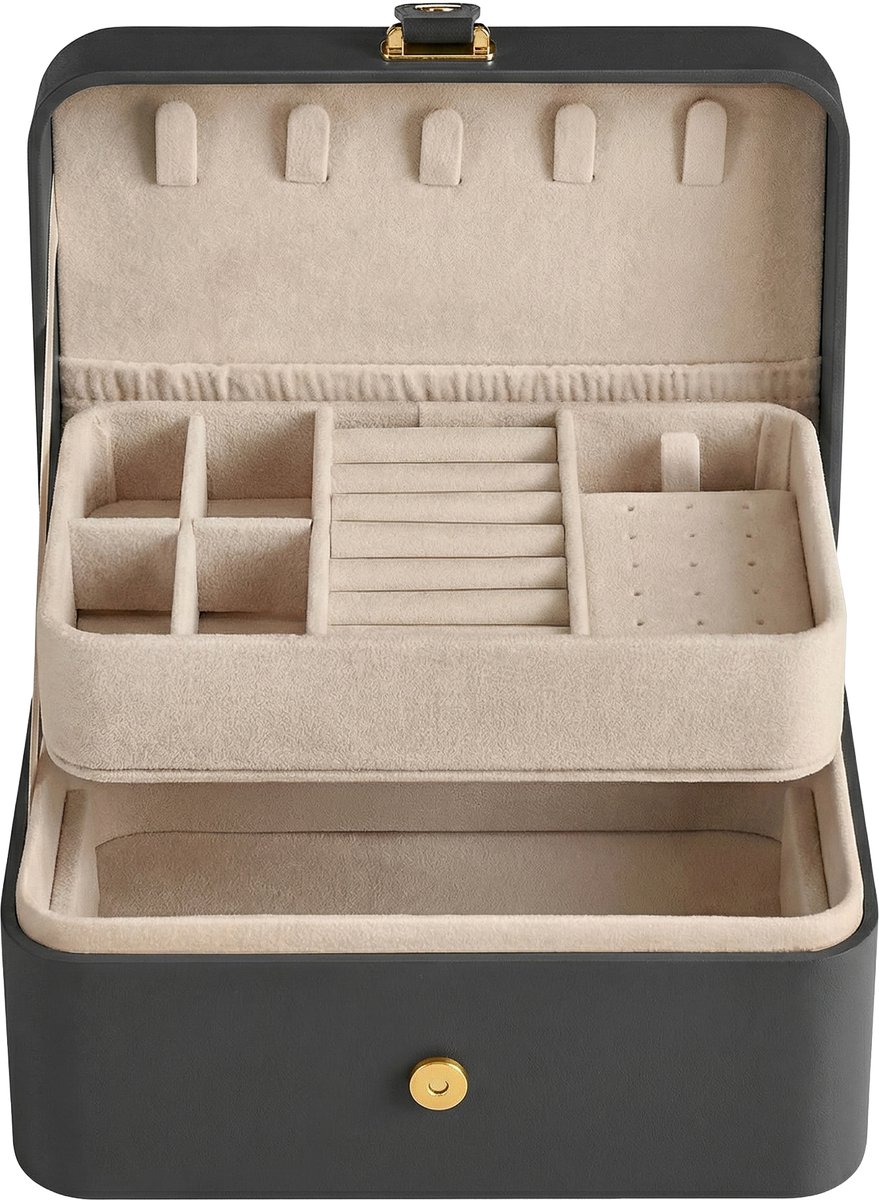 SONGMICS - Sieradendoos - Juwelendoos - Reizen - 2 Lagen - Draagbaar - Compact - Grote Accessoires