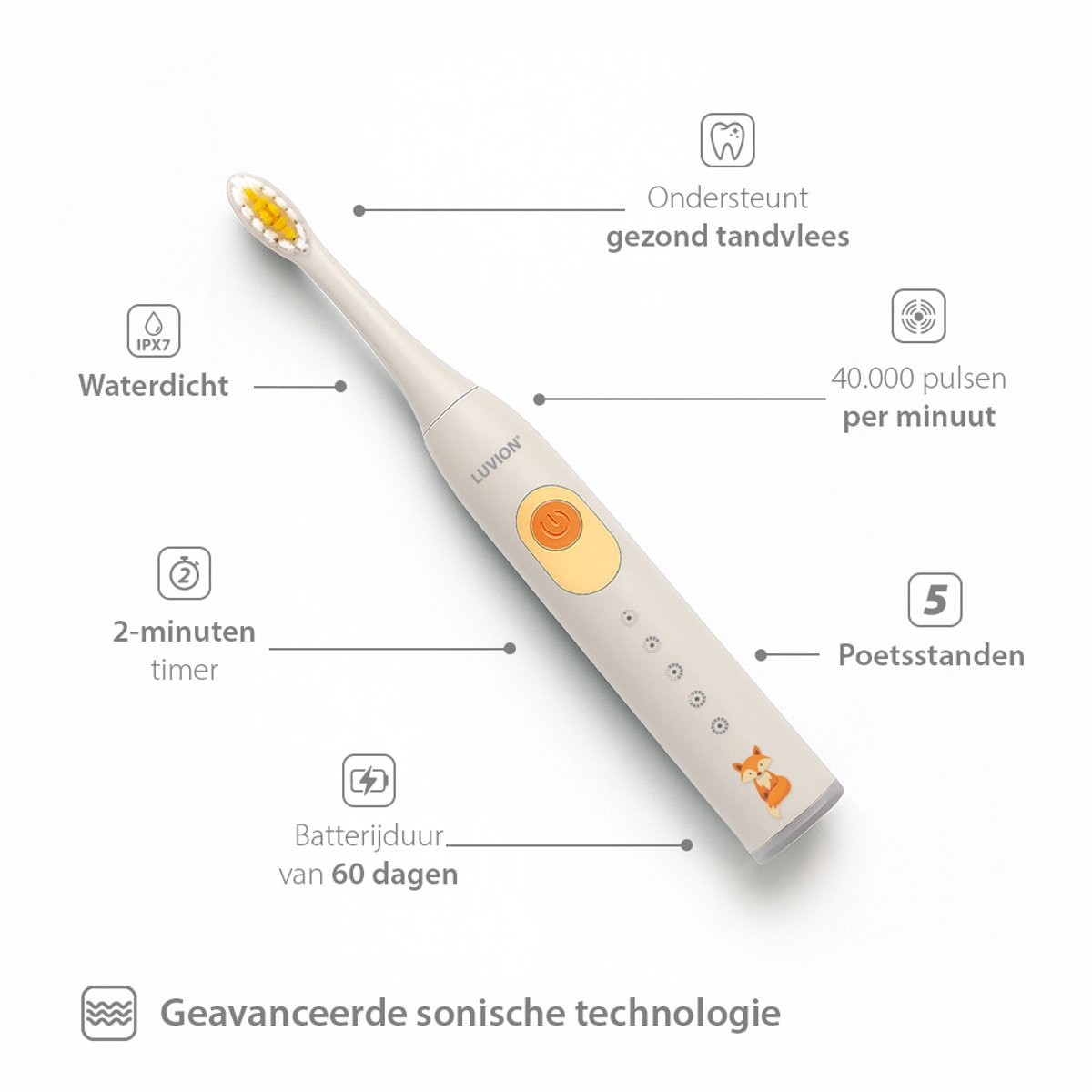 Egerium LUVION 500S Elektrische Tandenborstel met Timer - afbeelding 2