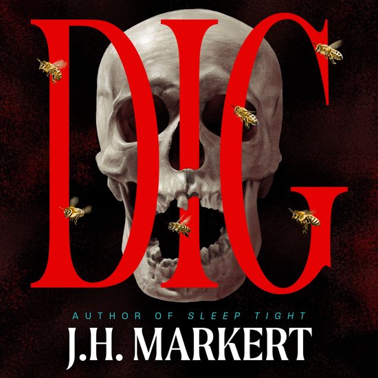 Dig - cover