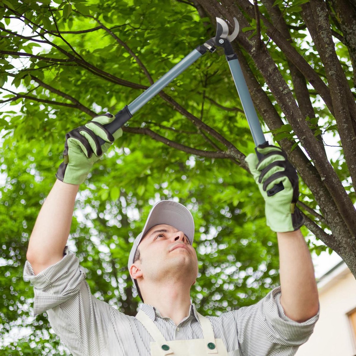 AIRAJ Bypass Pruning Lopper 385 mm, Lightweight, Non-Stick