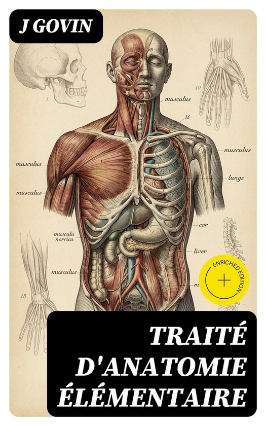 Traité d'anatomie élémentaire - cover