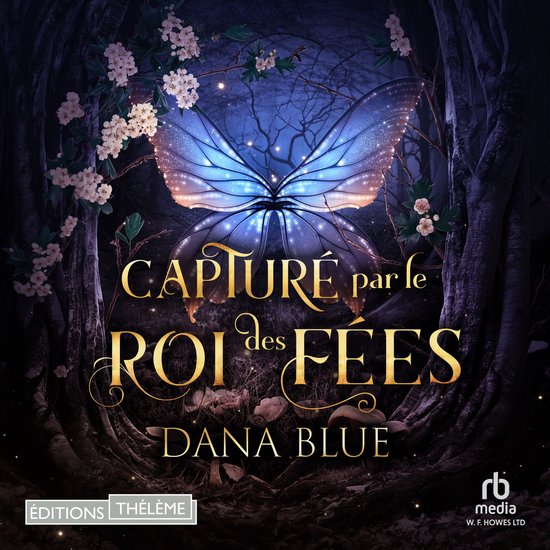 Capturé par le roi des fées - cover