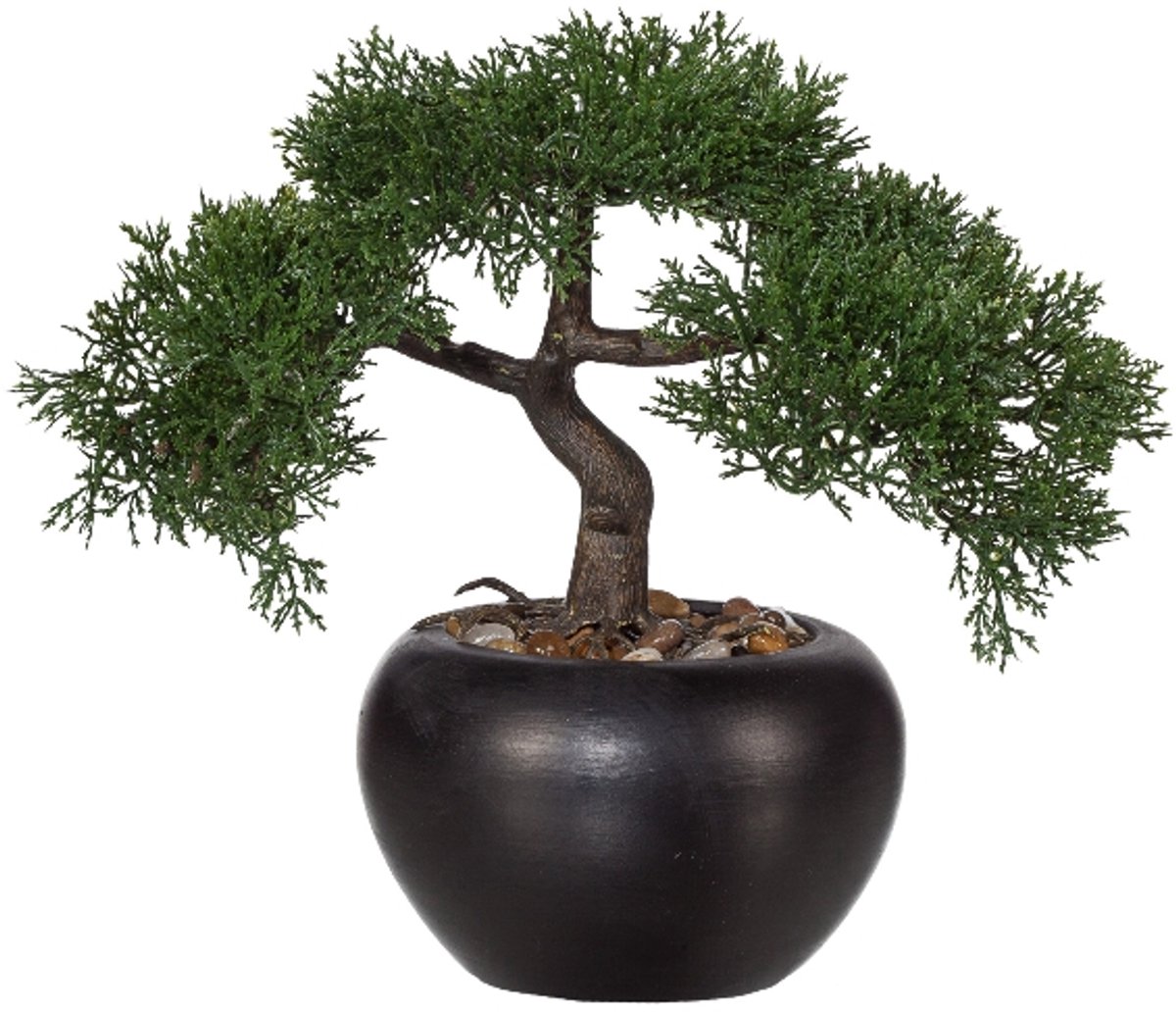 Kopu Kunstmatige Ceder Bonsai 26 cm Hoog met Zwarte Pot - Bonsaiboom