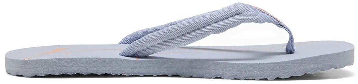 Puma Epic Flip V3 Slippers Blauw