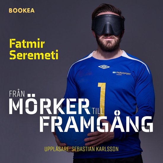 Från mörker till framgång - cover
