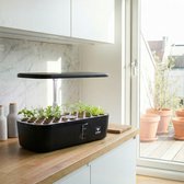 Lumegro Hydrocultuur Kweeksysteem Kitchin Harvest 52 pods. Smart Garden 24W LED spectrum. Luxe complete set, kostenbesparende intelligente binnentuin moestuin.