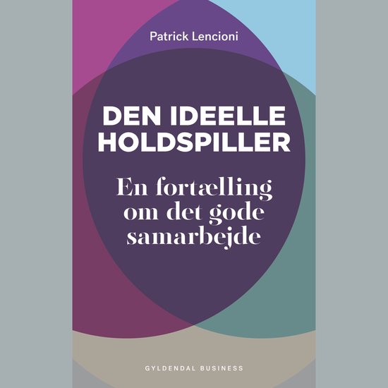 Den ideelle holdspiller - cover