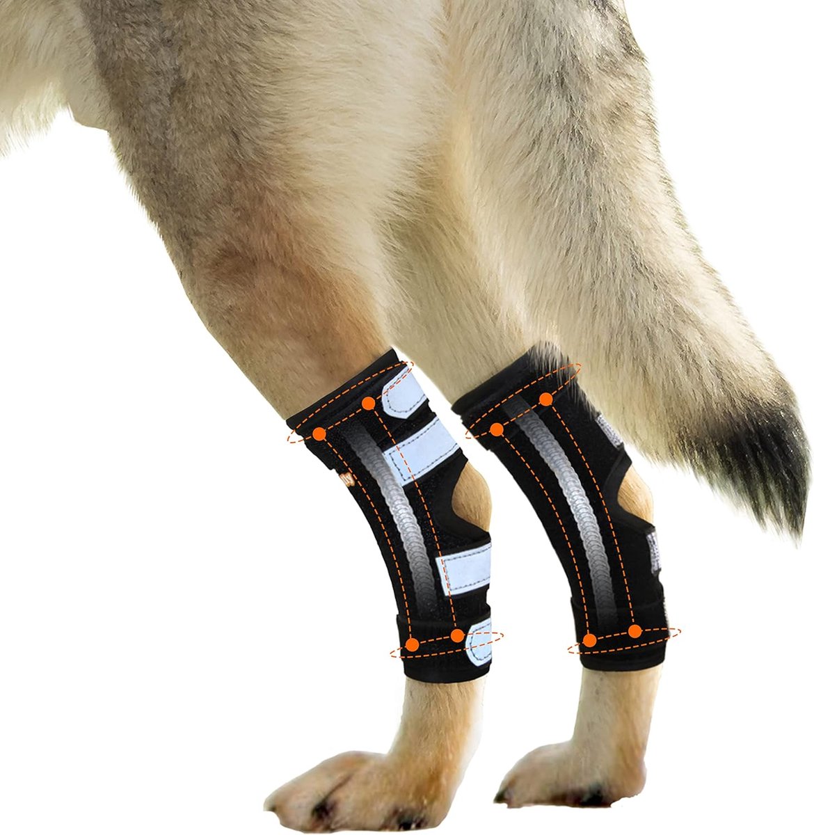 Honden Ondersteuning - Hondenbrace - Mobiliteit Verbeteren - Dubbele Stabilisatie - Maat S - Zwart