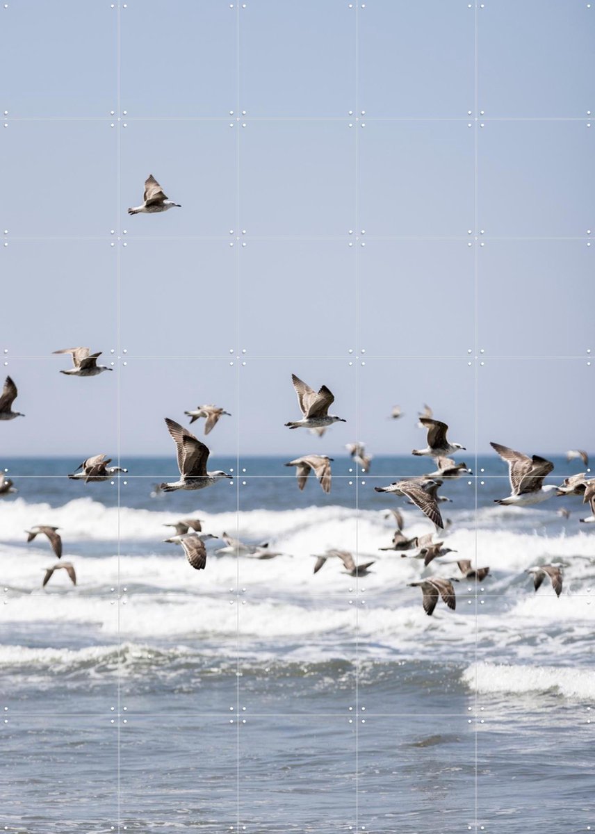 IXXI Birds and the Sea 2, Mareike Böhmer - 100 x 140 cm - Gratis ophangtool - Grote wanddecoratie en posters - Fotografie, Woonkamer, Slaapkamer