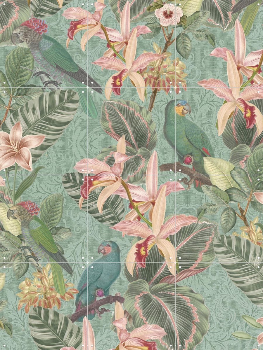 IXXI Tropical Jungle Birds, Bloomery Decor - 60 x 80 cm - Gratis ophangtool - Grote wanddecoratie en posters - Naturalisme, Grafisch Ontwerp