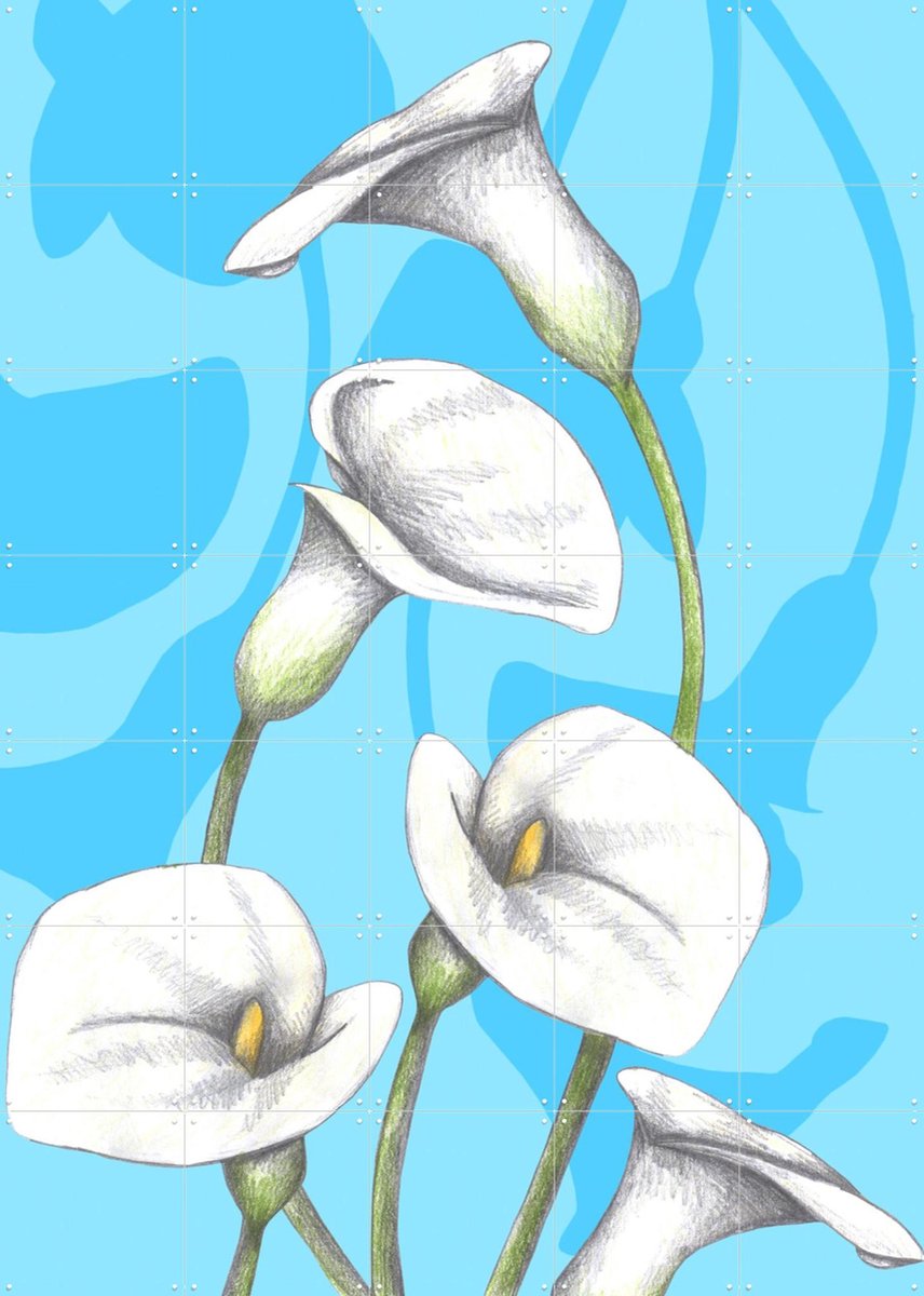 IXXI Calla Lily, Cecilia Battaini - 100 x 140 cm - Gratis ophangtool - Grote wanddecoratie en posters - Illustraties, Digitale Kunst, Grafisch