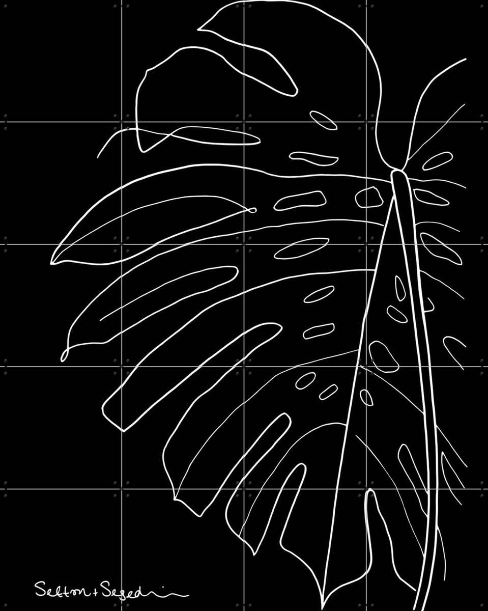 IXXI Monstera black, Sefton & Segedin - 80 x 100 cm - Gratis ophangtool - Grote wanddecoratie en posters - Line art, Illustraties, Grafisch Ontwerp