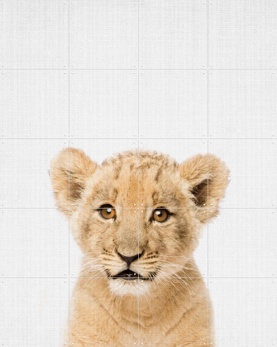 IXXI Baby lion - Brown eyes, Lila + Lola - 80 x 100 cm - Gratis ophangtool - Grote wanddecoratie en posters - Naturalisme, Realisme, Fotografie