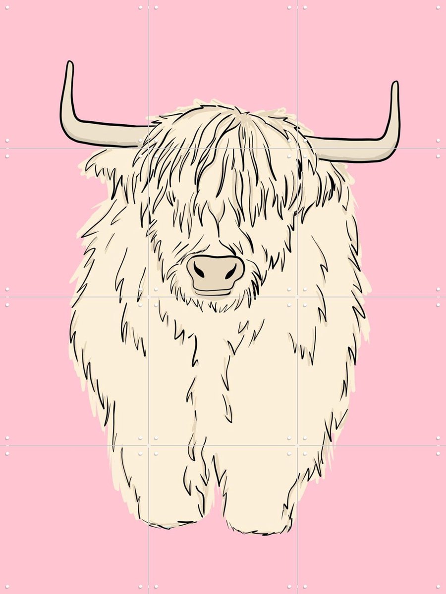 IXXI Pink Highland Cow, BAINAI - 60 x 80 cm - Gratis ophangtool - Grote wanddecoratie en posters Kinderkamer, Kinderen, Dieren