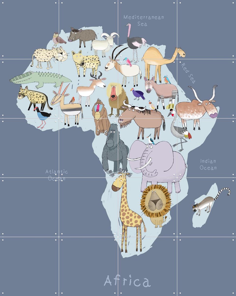 IXXI Africa, Carla Daly - 80 x 100 cm - Gratis ophangtool - Grote wanddecoratie en posters - Kleurrijk, Speels, Cartoonesk, Digitale Kunst