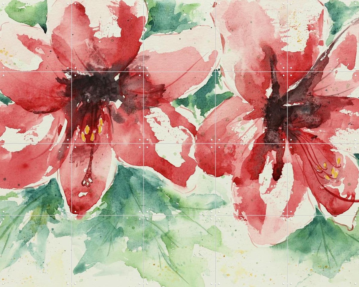 IXXI Amaryllis, Natalie Bruns - 100 x 80 cm - Gratis ophangtool - Grote wanddecoratie en posters - Kleurrijk, Aquarel, Impressionisme, Woonkamer