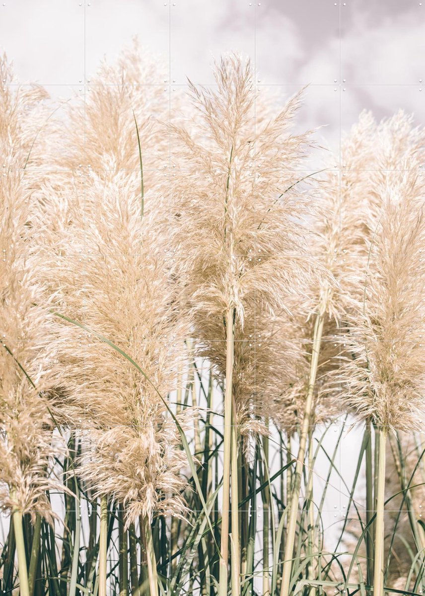 IXXI Boho Palm Grass, Pati Photography - 100 x 140 cm - Gratis ophangtool - Grote wanddecoratie en posters - Naturalisme, Fotografie, Slaapkamer