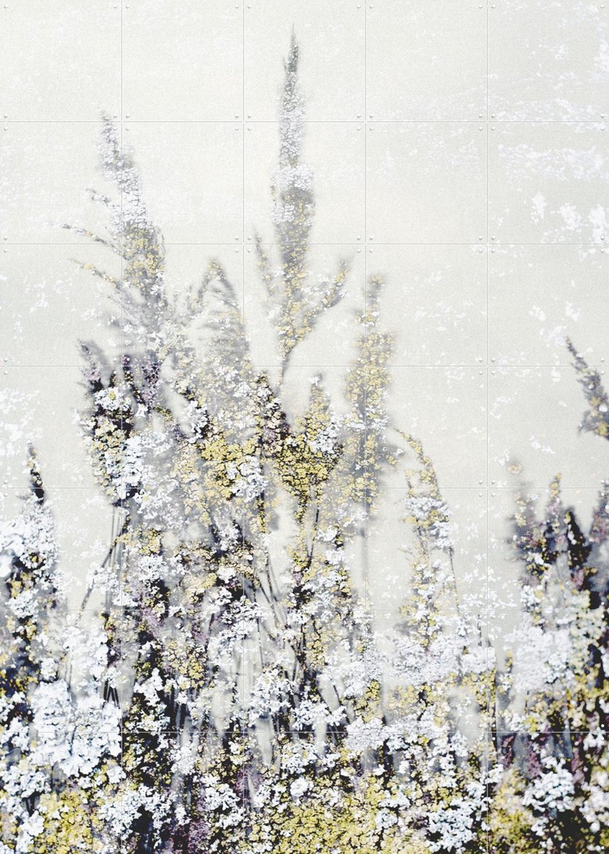 IXXI Winter Reed, Photolovers - 100 x 140 cm - Gratis ophangtool - Grote wanddecoratie en posters - Naturalisme, Minimalisme, Aquarel, Fotografie