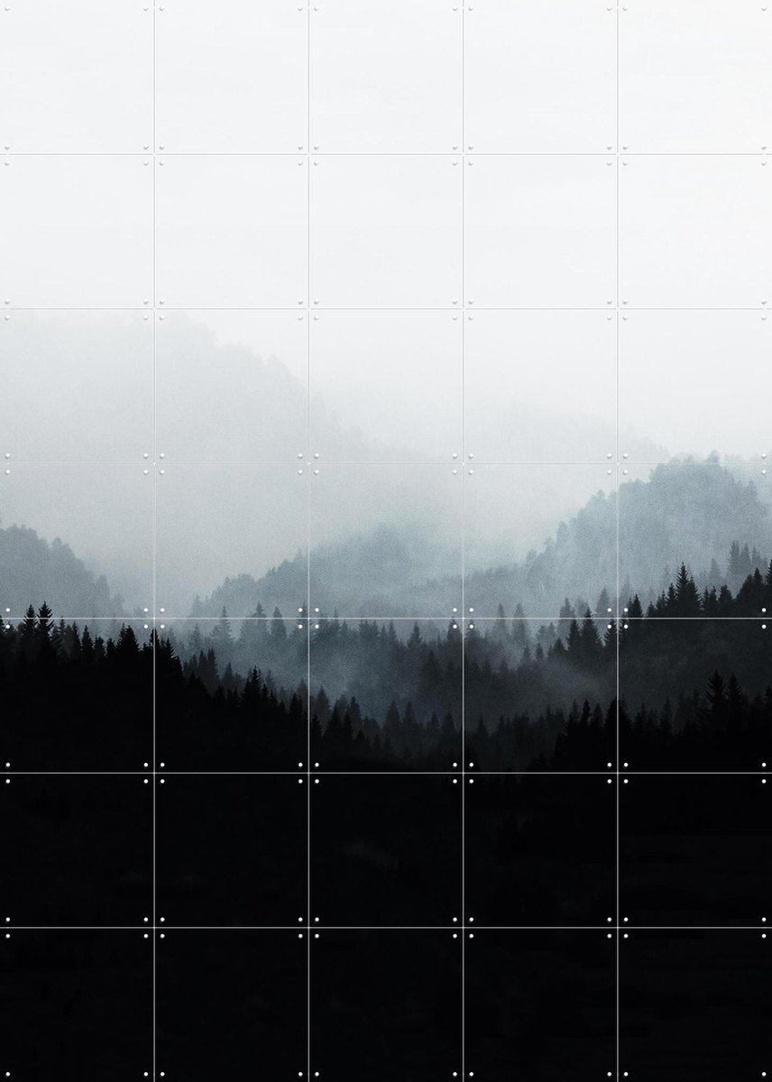 IXXI Woods 5Y, Mareike Böhmer - 100 x 140 cm - Gratis ophangtool - Grote wanddecoratie en posters - Fotografie, Minimalisme, Slaapkamer, Woonkamer