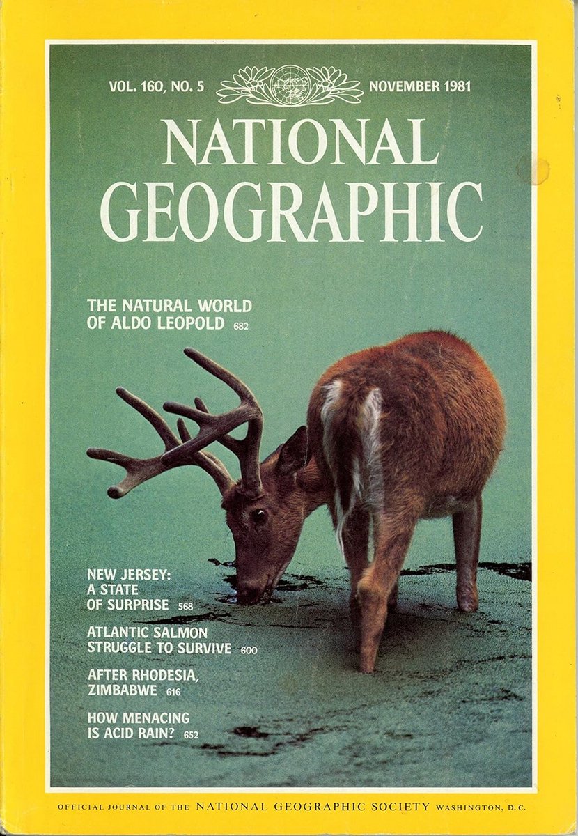National Geographic Magazine Nummer 5 November 1981