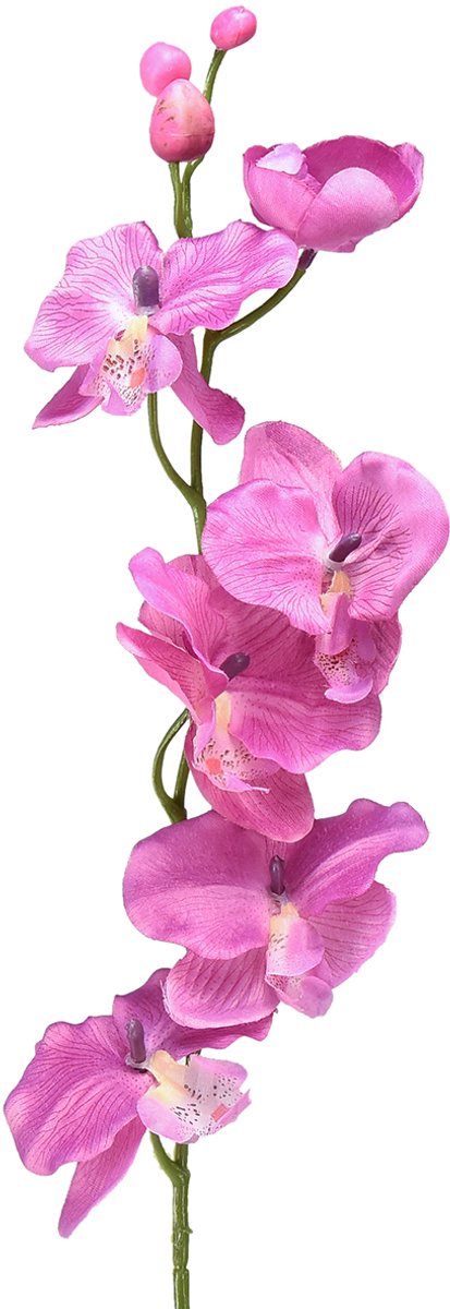 Orchidee Phalaenopsis kunst 6 bloemen paars 70cm