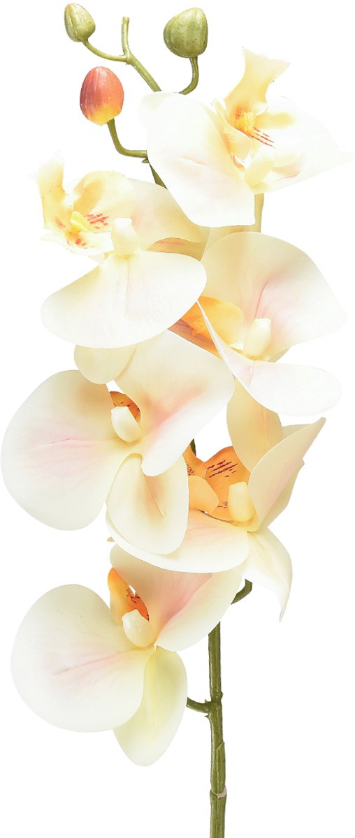 Kunst Orchidee Creme Oranje Phalaenopsis 78cm