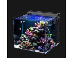 Nano Aquarium 40x40x40cm complete set met pomp, eiwitafschuimer en lamp