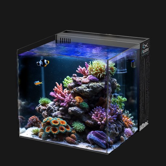 Nano Aquarium 40x40x40cm complete set met pomp, eiwitafschuimer en lamp