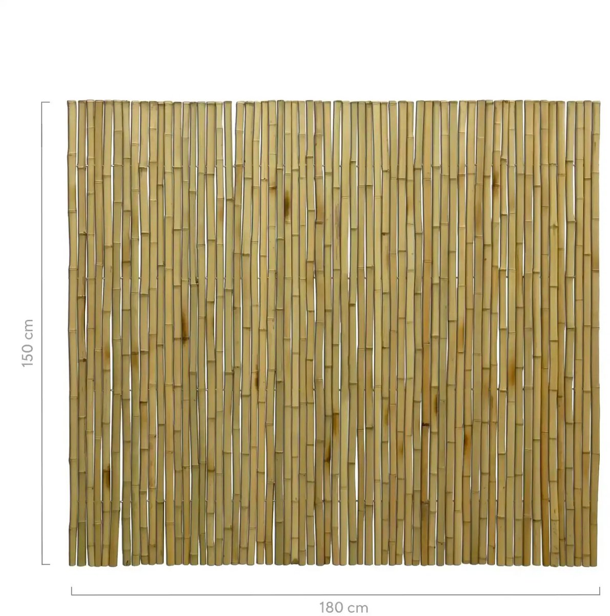 Masters of Bamboo® Bamboemat Large - 180 x 150 cm - Naturel - Bamboe schutting op rol - Bamboe mat