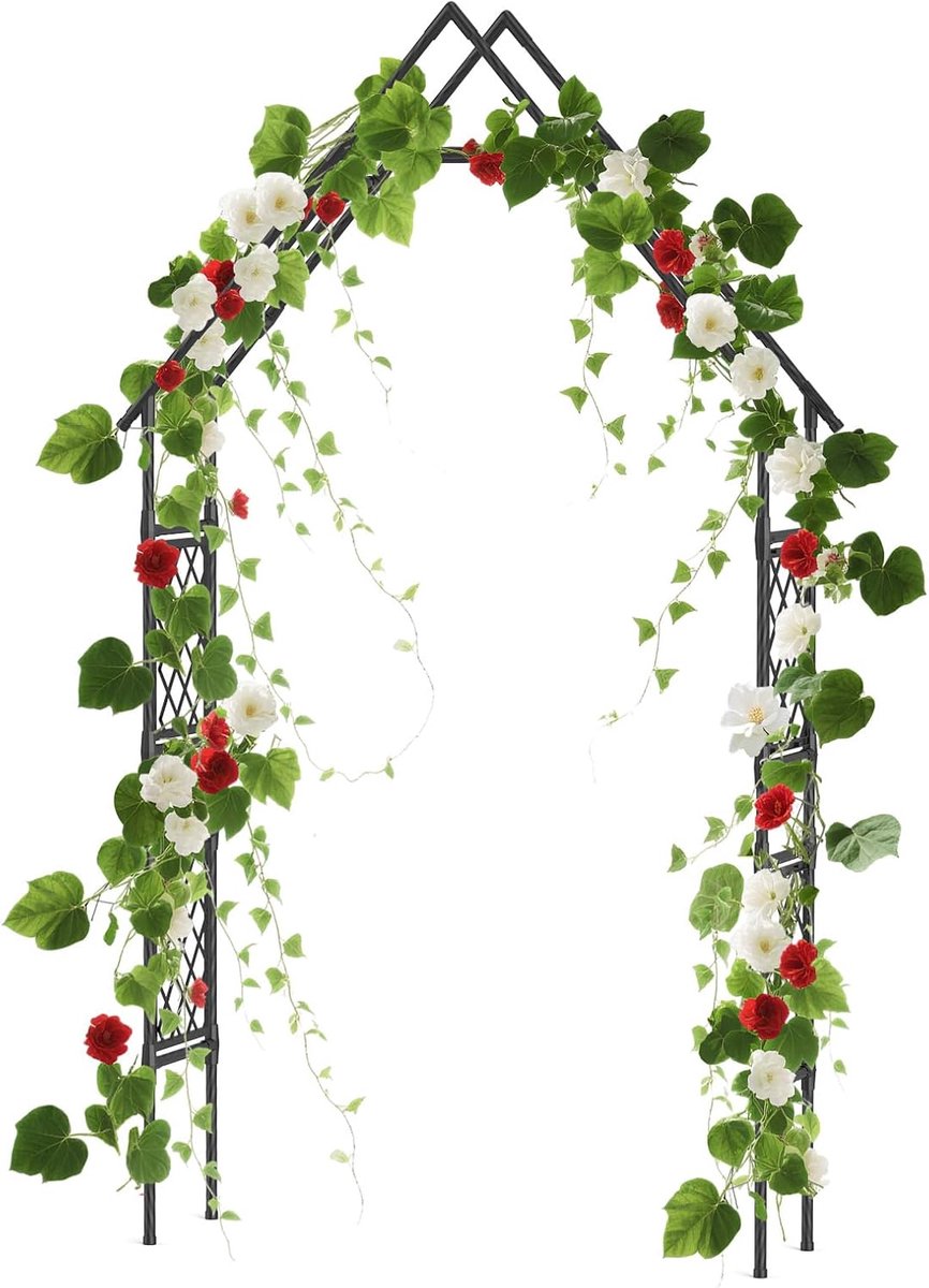Metalen Rozenboog 240x120 cm - Tuinboog voor Klimplanten - Weerbestendige Decoratieve Boog - Zwart - Ideaal voor Tuin, Terras en Bruiloft