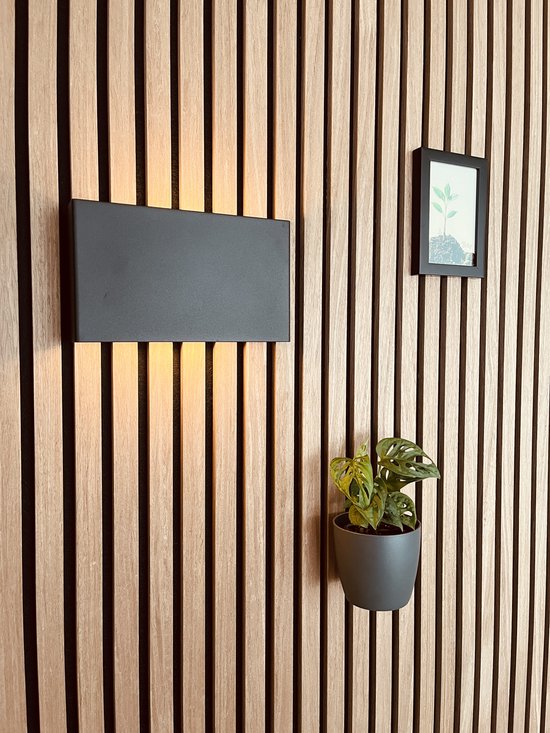 Zwarte rechthoekige wandlamp en plant in grijze pot op houten lattenwand.