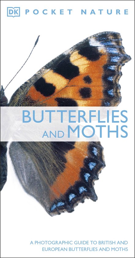 Boek met de titel 'Butterflies and Moths' van DK Pocket Nature, met close-up foto's van vlindervleugels in oranje, zwart en blauw.