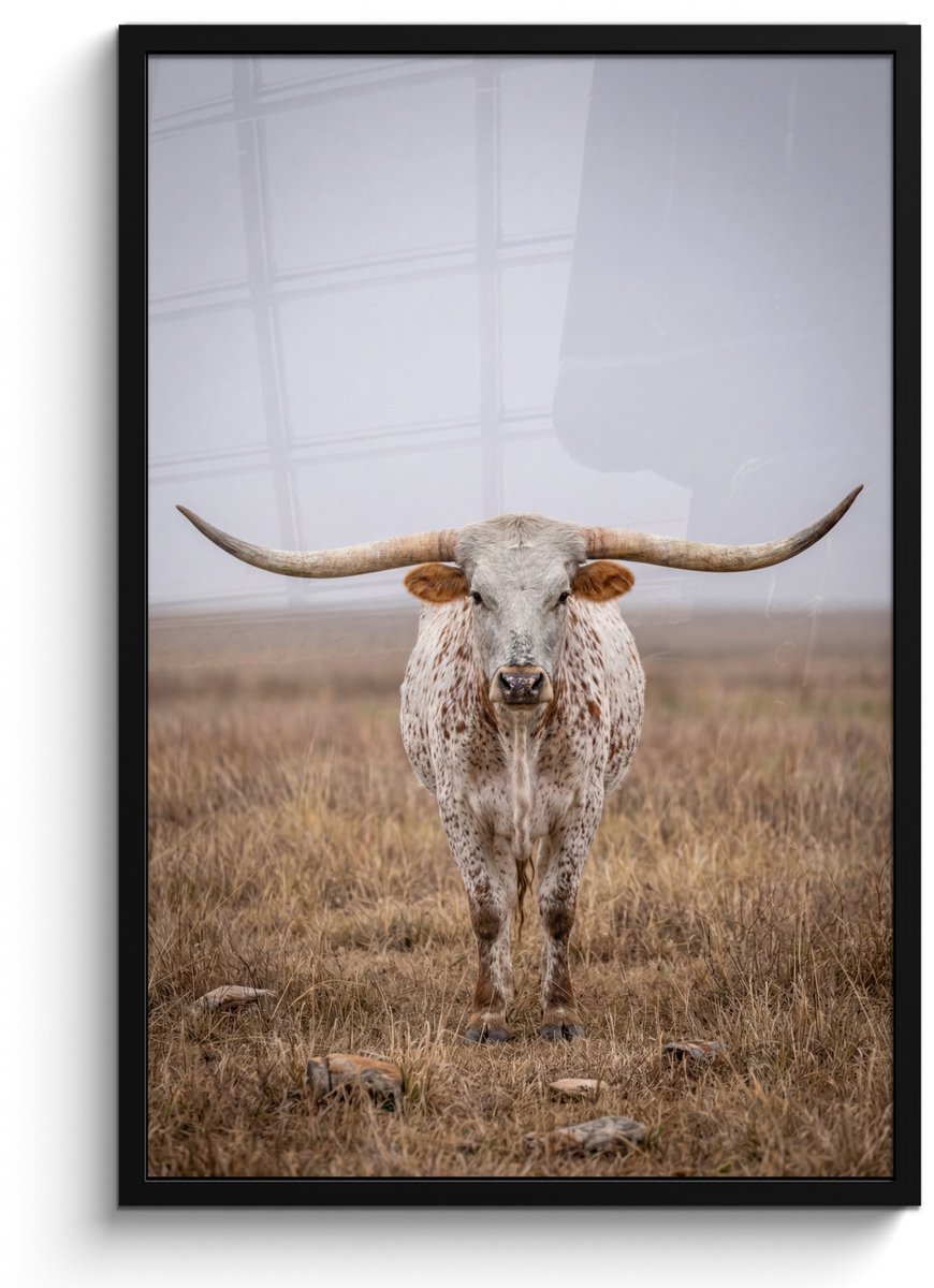FrameYourWall Poster in lijst - Fotolijst 60x90 cm - Posters - Longhorn - Grasveld - Dier - Posterlijst zwart - Decoratie - Wanddecoratie woonkamer - Muurdecoratie slaapkamer