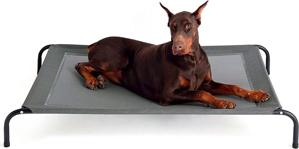 Aura® Hondenbed outdoor voor grote honden - binnen en buiten - camping - verhoogd - maat L - Grijs -124cm x 90cm x 20cm