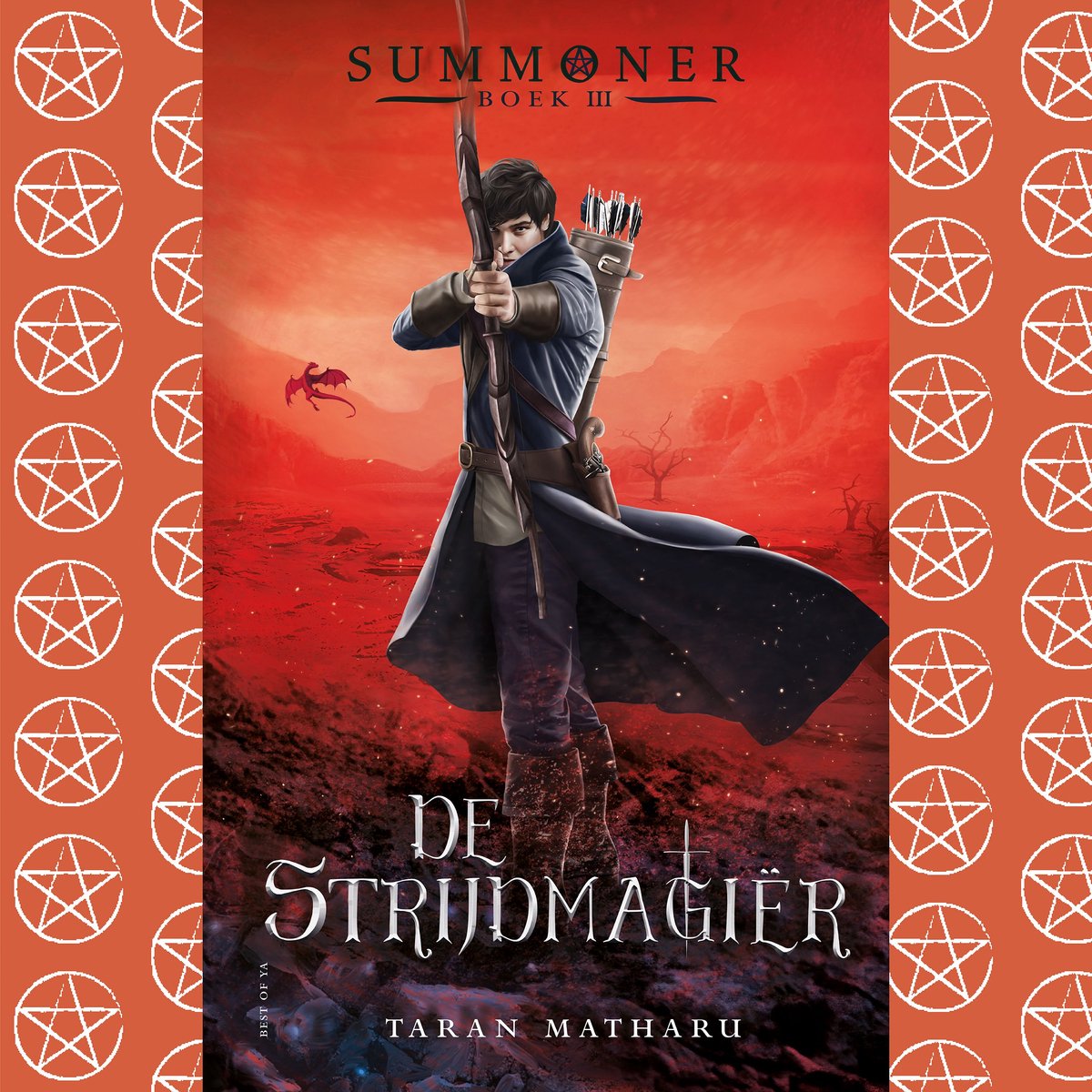 Omslag van De strijdmagiër