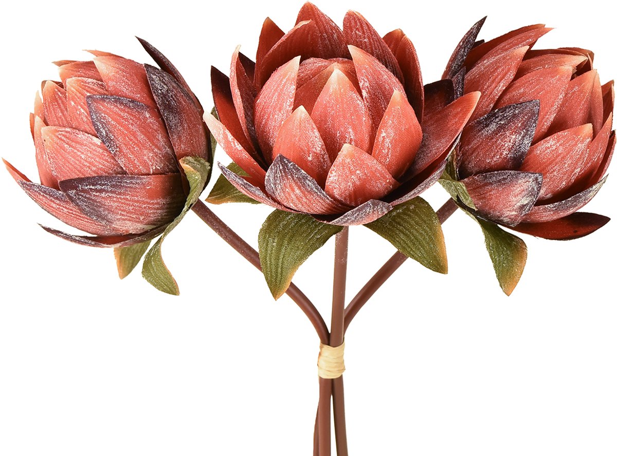 Viana Decoratieve Protea kunstbloemen rood-oranje 34cm 3st, 3 Stück Veelkleurig