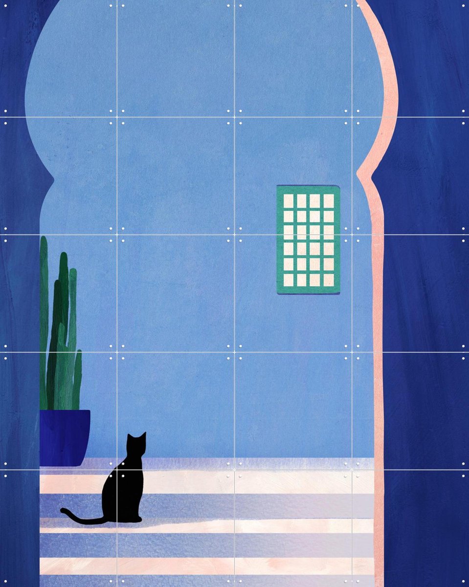 IXXI Cat in Morocco, Henry Rivers - 80 x 100 cm - Gratis ophangtool - Grote wanddecoratie en posters - Illustraties, Kleurrijk, Natuur, Architectuur