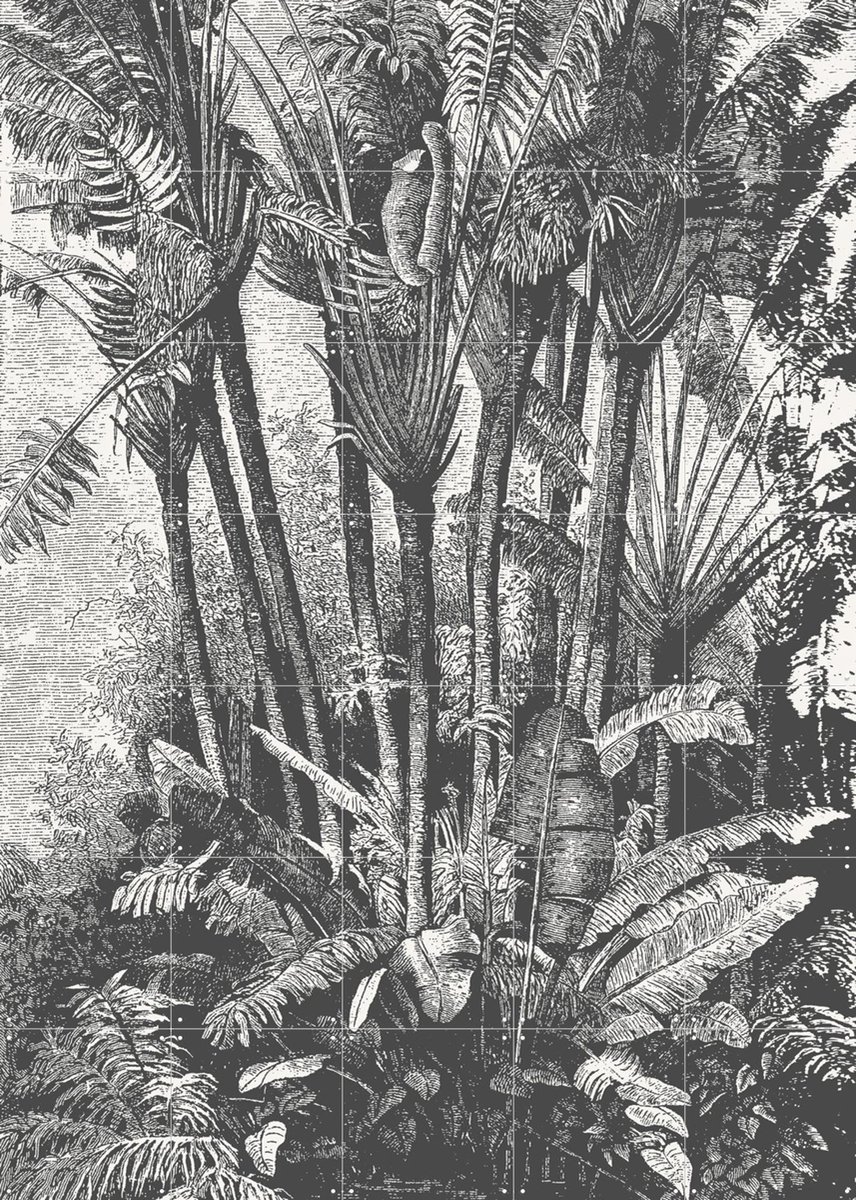 IXXI Palms in Water, Aster Edition - 100 x 140 cm - Gratis ophangtool - Grote wanddecoratie en posters - Naturalisme, Illustraties, Vintage
