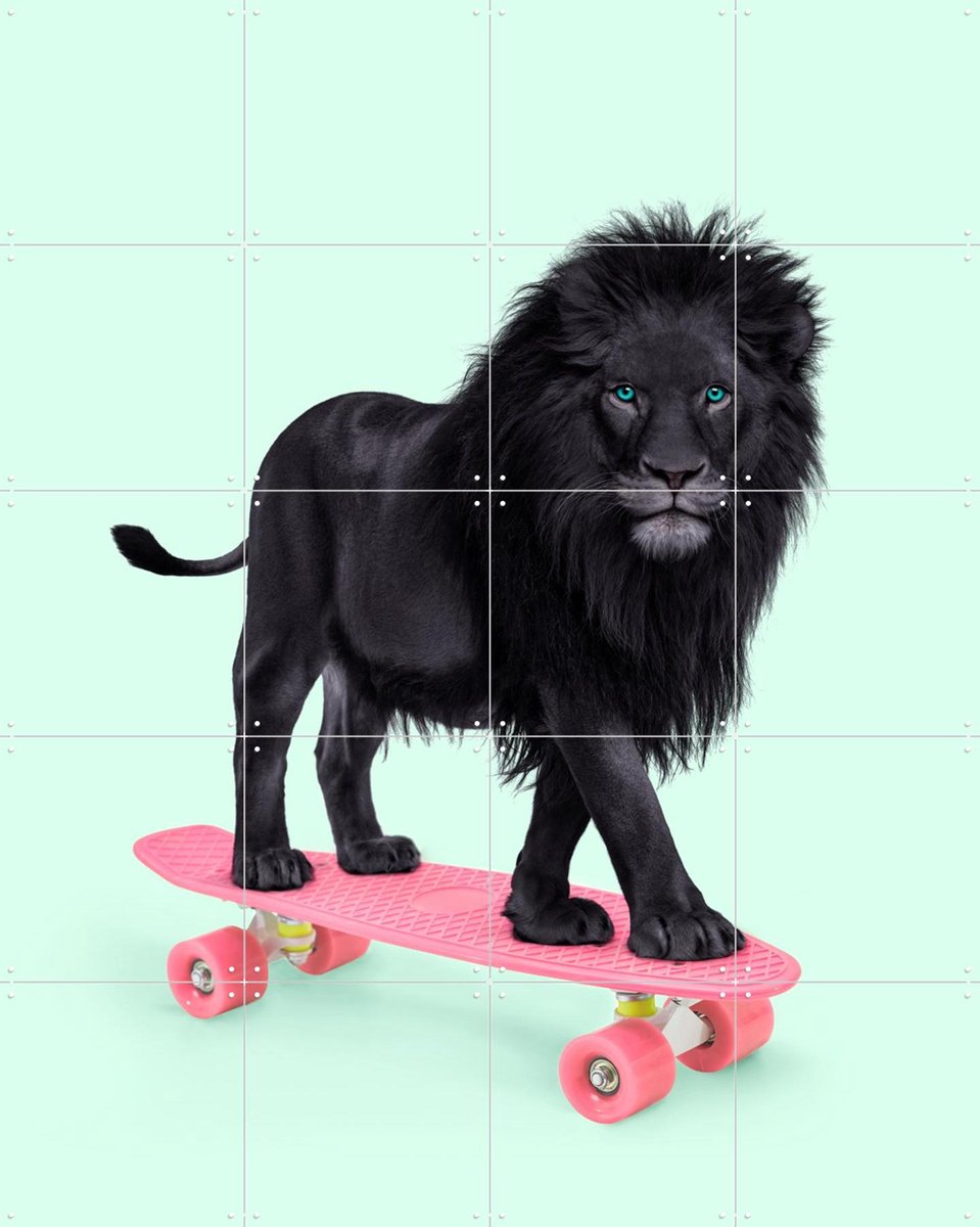 IXXI Skate Lion, Paul Fuentes - 80 x 100 cm - Gratis ophangtool - Grote wanddecoratie en posters - Kleurrijk, Speels, Fotografie, Kinderkamer, Wilde