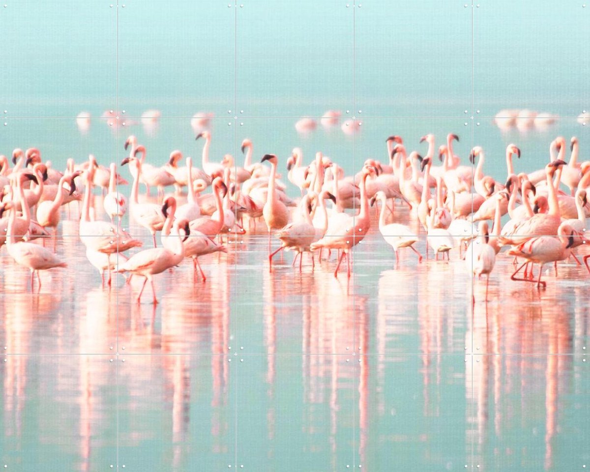 IXXI Flamingos, Lila + Lola - 100 x 80 cm - Gratis ophangtool - Grote wanddecoratie en posters - Fotografie, Kleurrijk, Woonkamer, Slaapkamer, Vogels