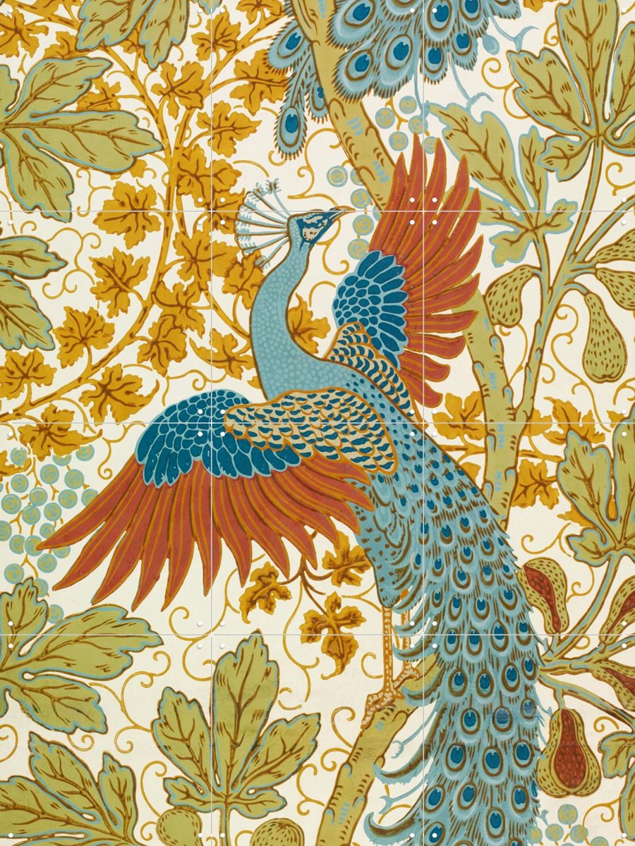 IXXI Fig and Peacock red, Walter Crane & Victoria and Albert Museum - 60 x 80 cm - Gratis ophangtool - Grote wanddecoratie en posters - Art Nouveau