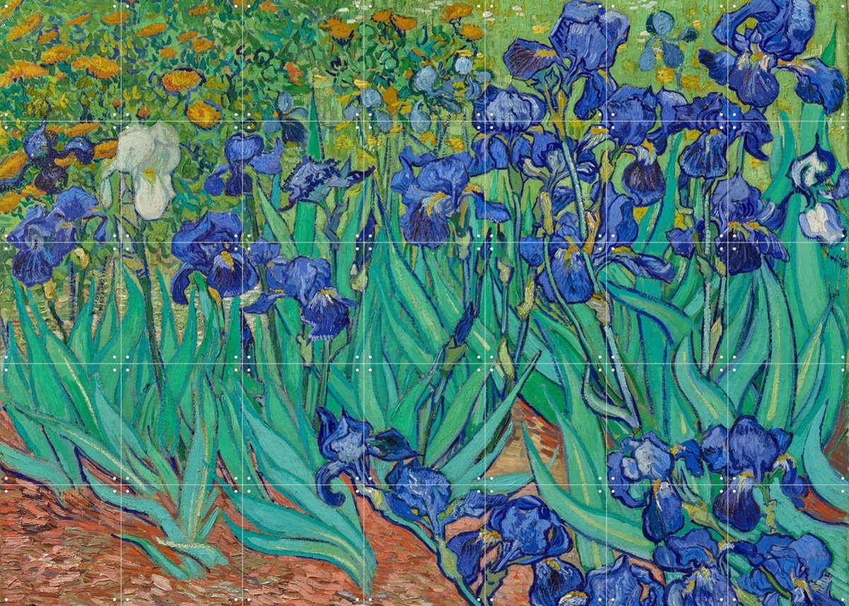IXXI Irissen, Vincent van Gogh (1853 - 1890) - 140 x 100 cm - Gratis ophangtool - Grote wanddecoratie en posters Bloemen, Botanisch