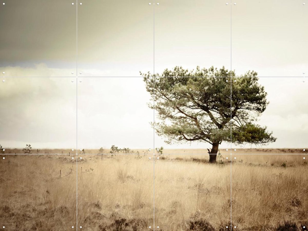 IXXI Solitude, Claire Droppert - 80 x 60 cm - Gratis ophangtool - Grote wanddecoratie en posters - Naturalisme, Realisme, Minimalisme, Fotografie