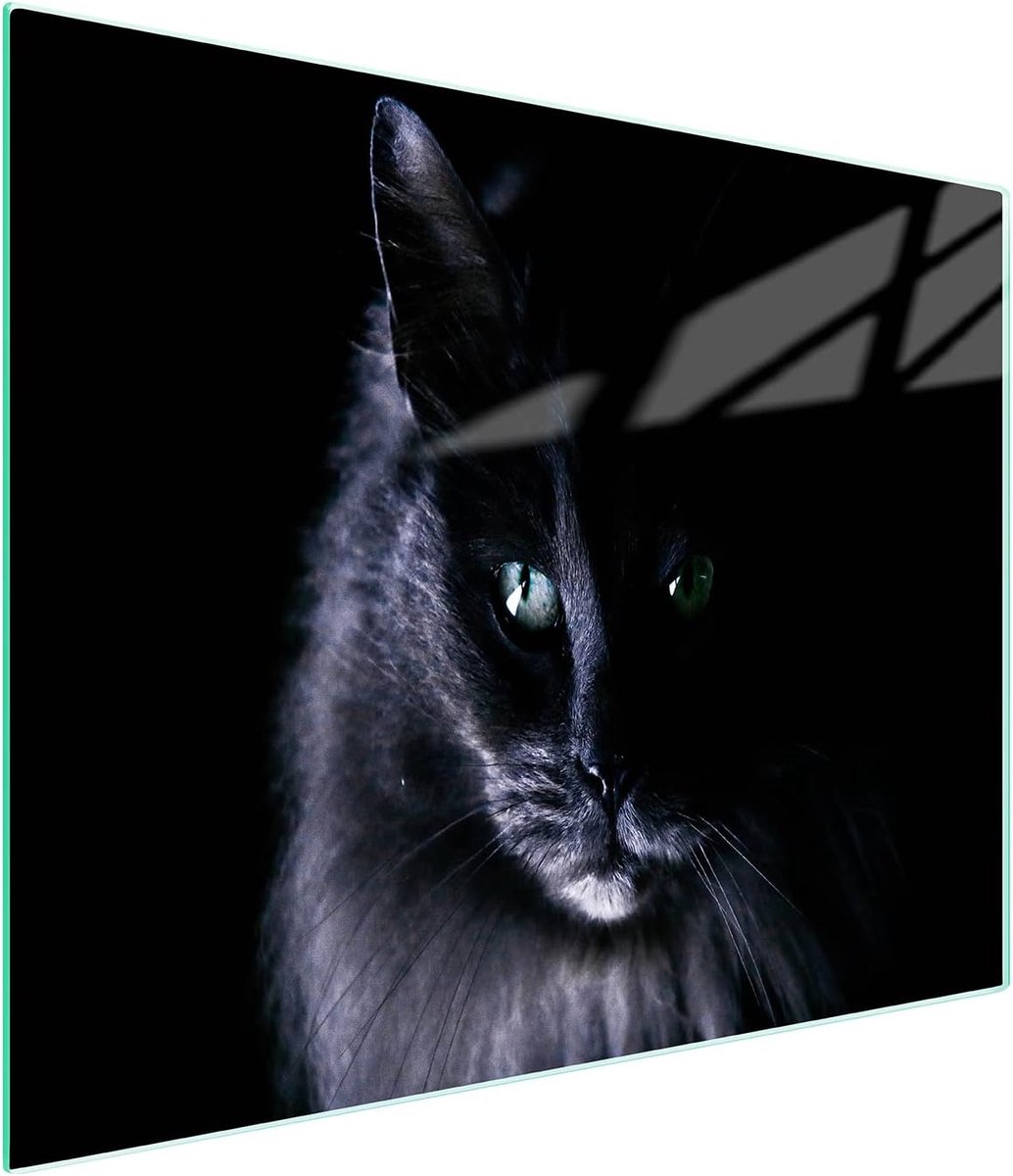 Hittebestendige Glazen Snijplank 52x30 cm: Fornuisafdekplaat & Spatwand