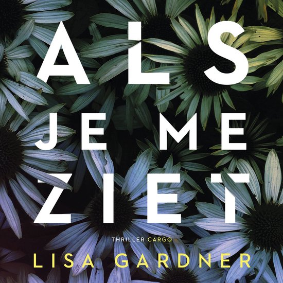 Als je me ziet - cover